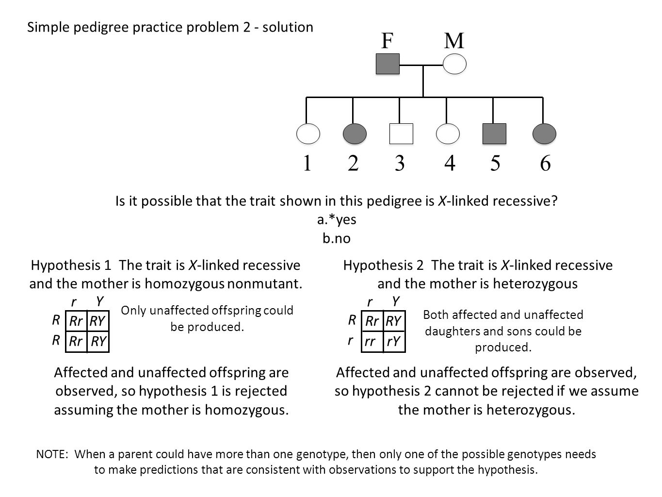Pedigree Analysis Through Genetic Hypothesis Testing Ppt Download
