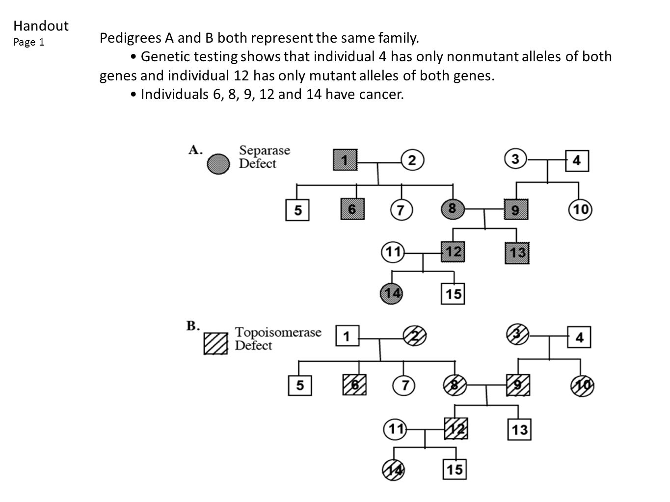 How to make and analyze a pedigree chart answer key Pedigree Analysis Through Genetic Hypothesis Testing Ppt Download