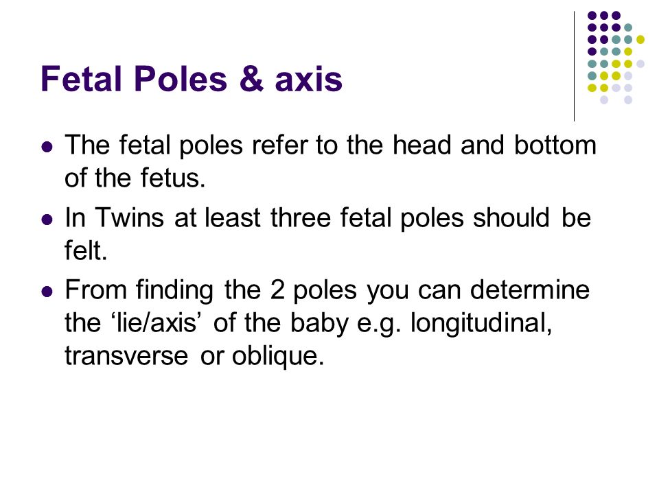 Fetal Poles & axis The fetal poles refer to the head and bottom of the fetus. In Twins at least three fetal poles should be felt.