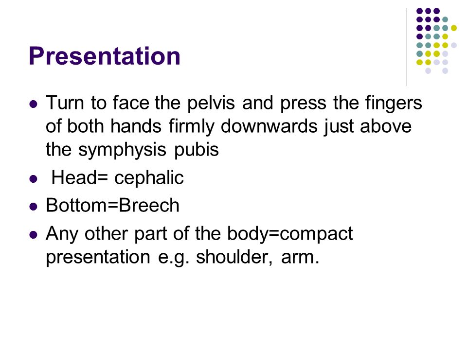 Presentation Turn to face the pelvis and press the fingers of both hands firmly downwards just above the symphysis pubis.