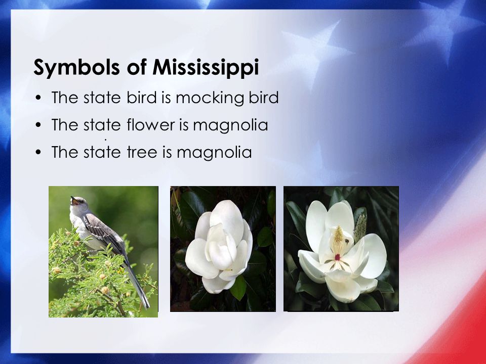 Symbols of Mississippi