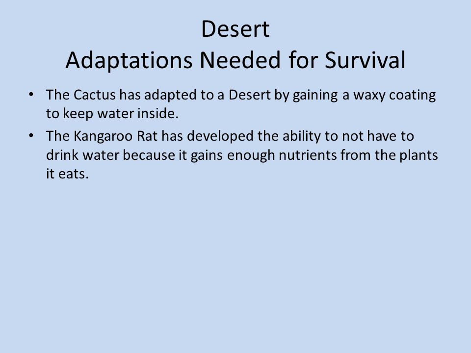 Desert Adaptations Needed for Survival
