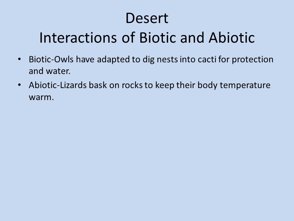 Desert Interactions of Biotic and Abiotic