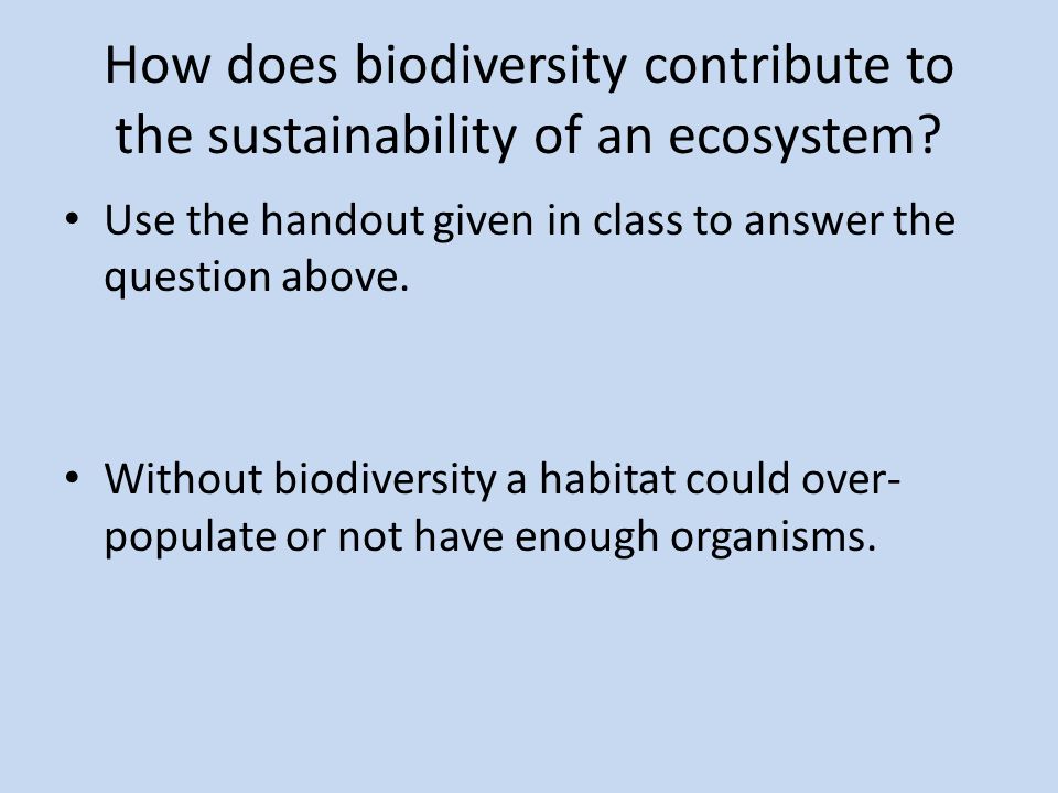 How does biodiversity contribute to the sustainability of an ecosystem