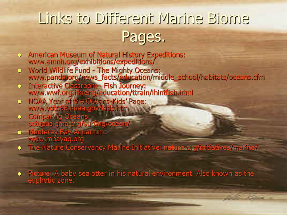 Links to Different Marine Biome Pages.