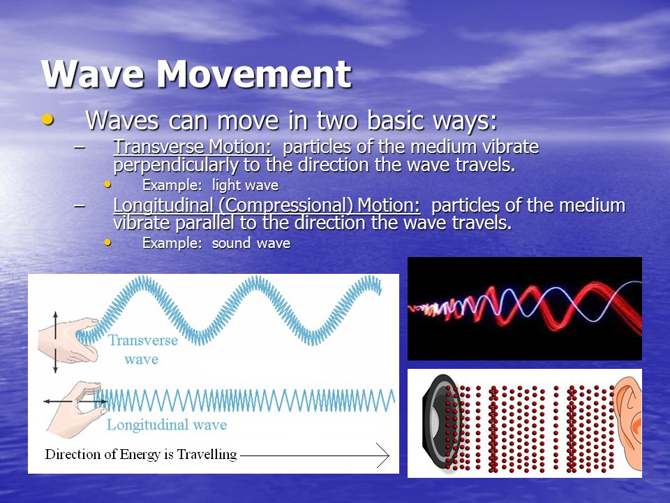 Wave Movement Waves can move in two basic ways: