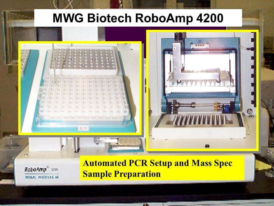 Progression Of Dna Typing Markers Ppt Video Online Download