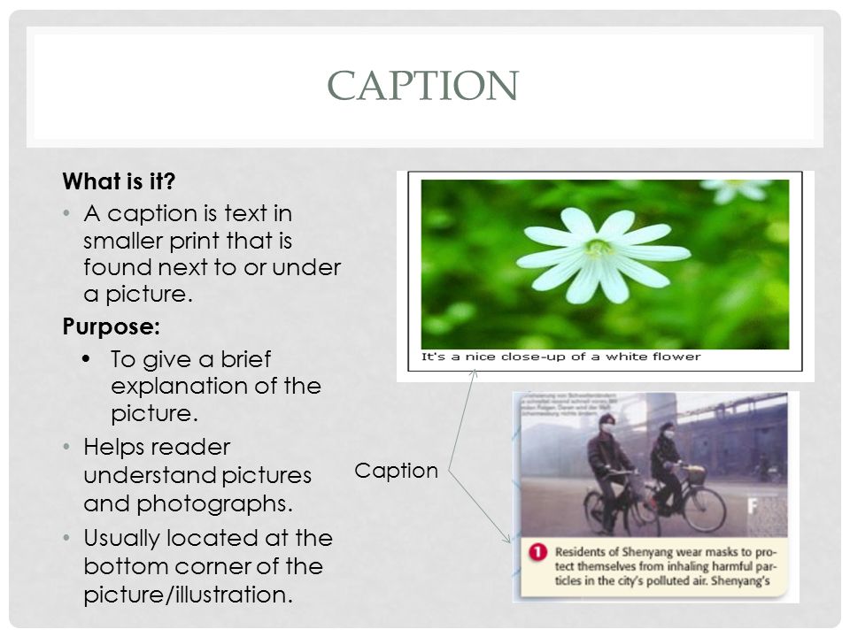 caption What is it A caption is text in smaller print that is found next to or under a picture. Purpose:
