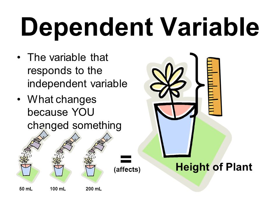 Dependent Variable The variable that responds to the independent variable. What changes because YOU changed something.
