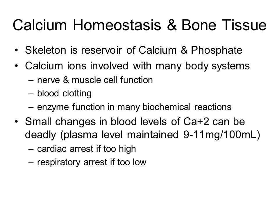 Calcium Homeostasis & Bone Tissue