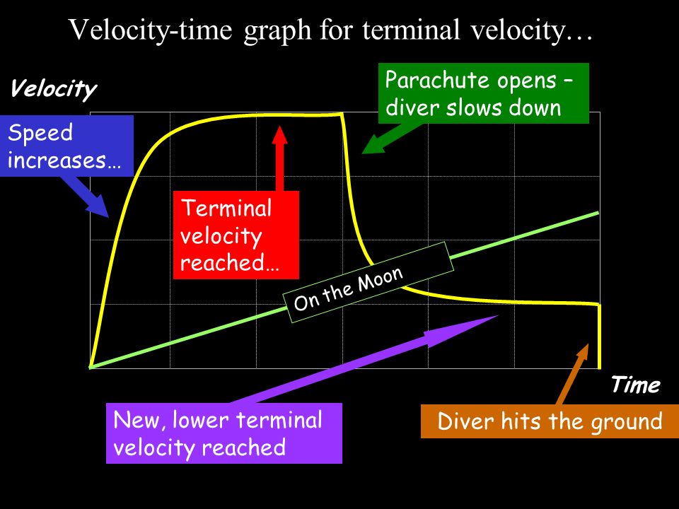 Velocity-time graph for terminal velocity…