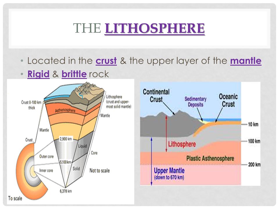 The lithosphere Located in the crust & the upper layer of the mantle.