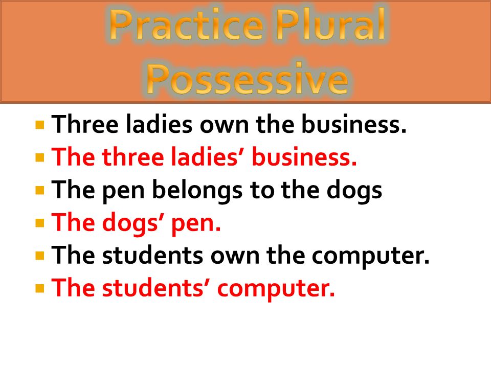 Practice Plural Possessive