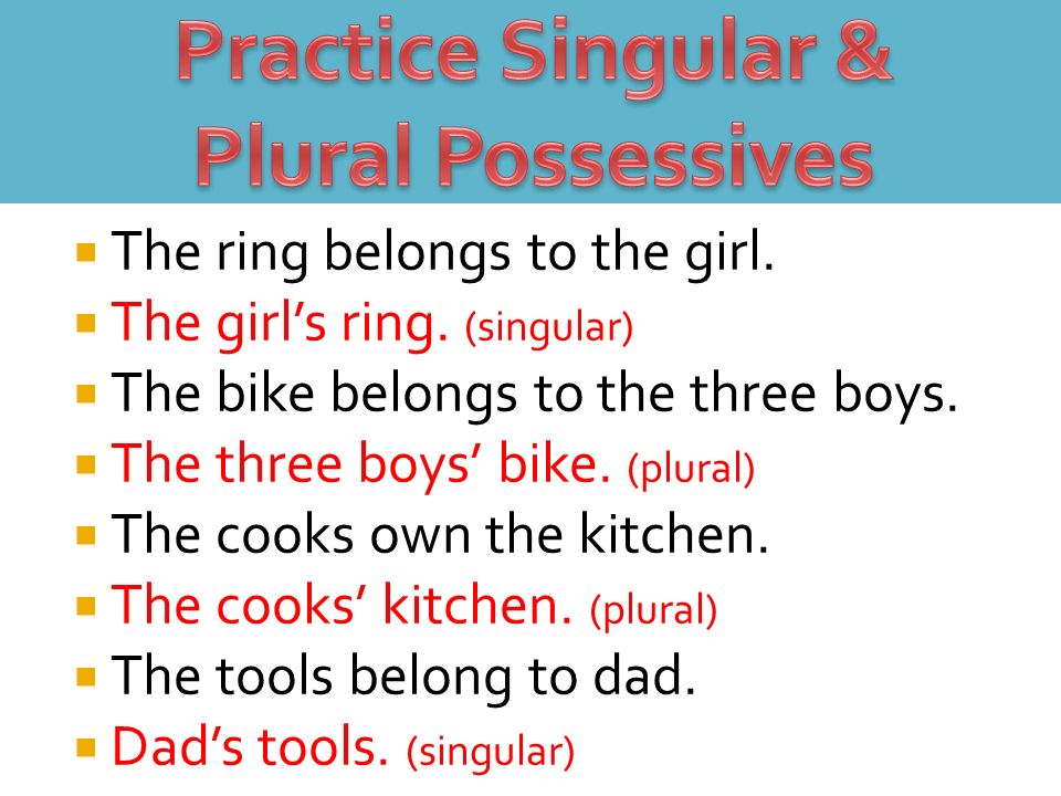 Practice Singular & Plural Possessives