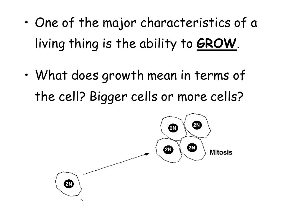 One of the major characteristics of a living thing is the ability to GROW.