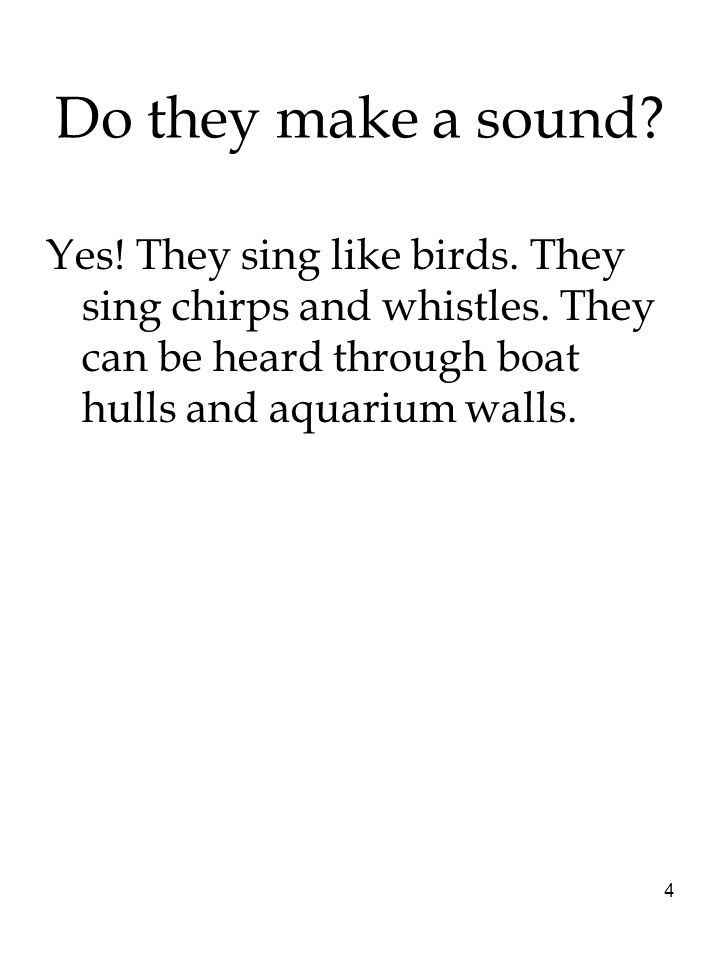 Do they make a sound. Yes. They sing like birds.