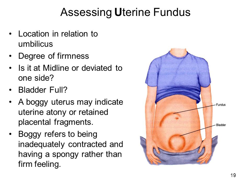 The Postpartum Period Puerperium Fourth Trimester Of Pregnancy The 6 Week Interval Between The Birth Of The Newborn And The Return Of The Reproductive Ppt Download