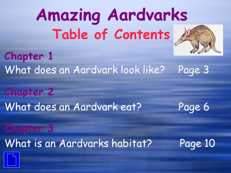 Amazing Aardvarks Table of Contents Chapter 1