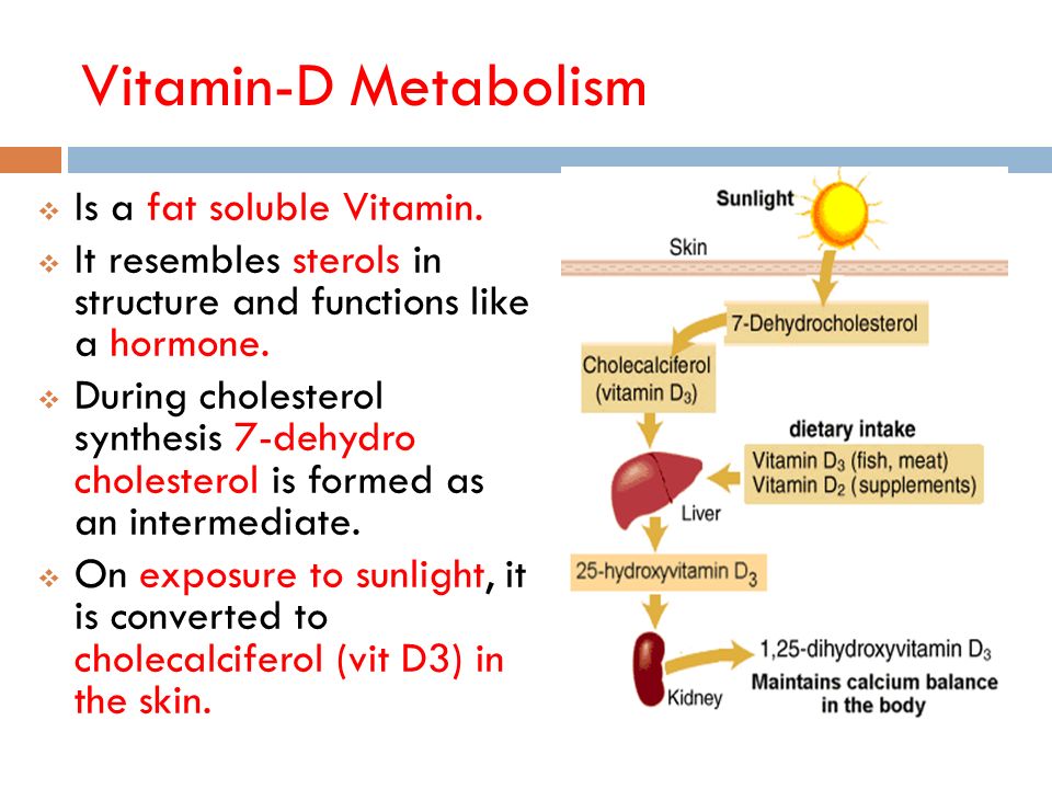 Vitamin D Metabolism Flow Chart