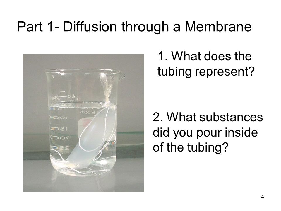 diffusion through a membrane lab report