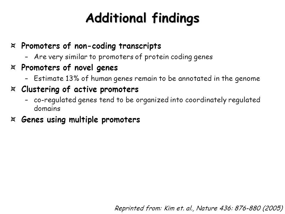 Additional findings Promoters of non-coding transcripts