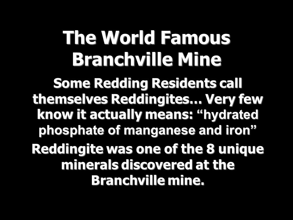 The World Famous Branchville Mine