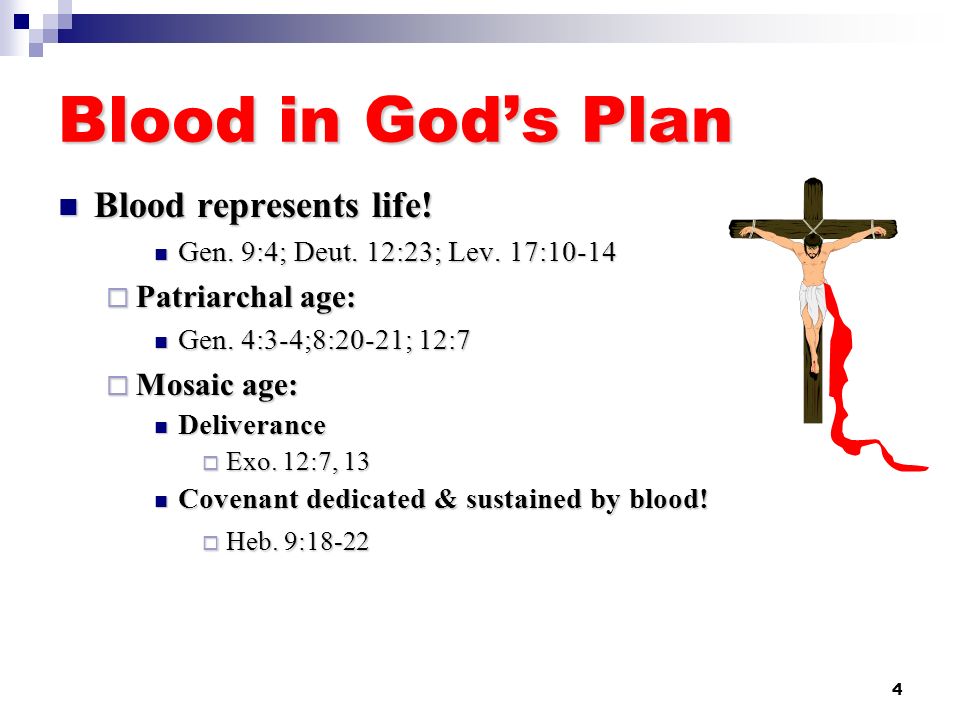 Blood in God’s Plan Blood represents life! Patriarchal age: