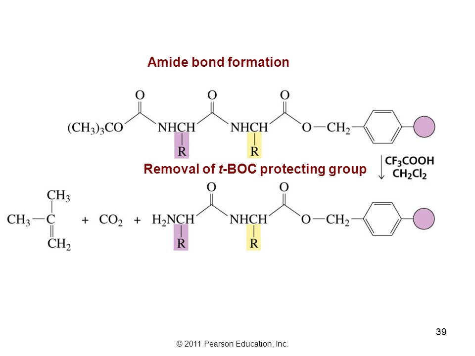 Amide Bond. Amide III Bonds. Threonine + amide Bond. Реакции образования циклопептидов.