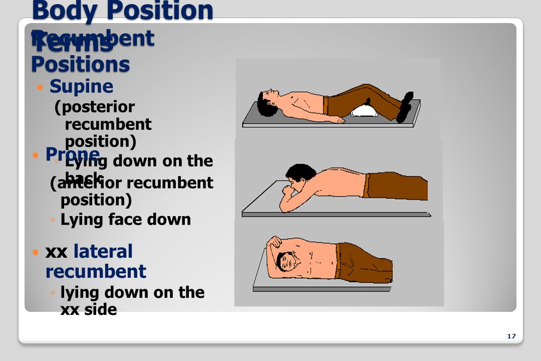 Introduction To Radiographic Positioning Positioning Terminology Ppt Video Online Download