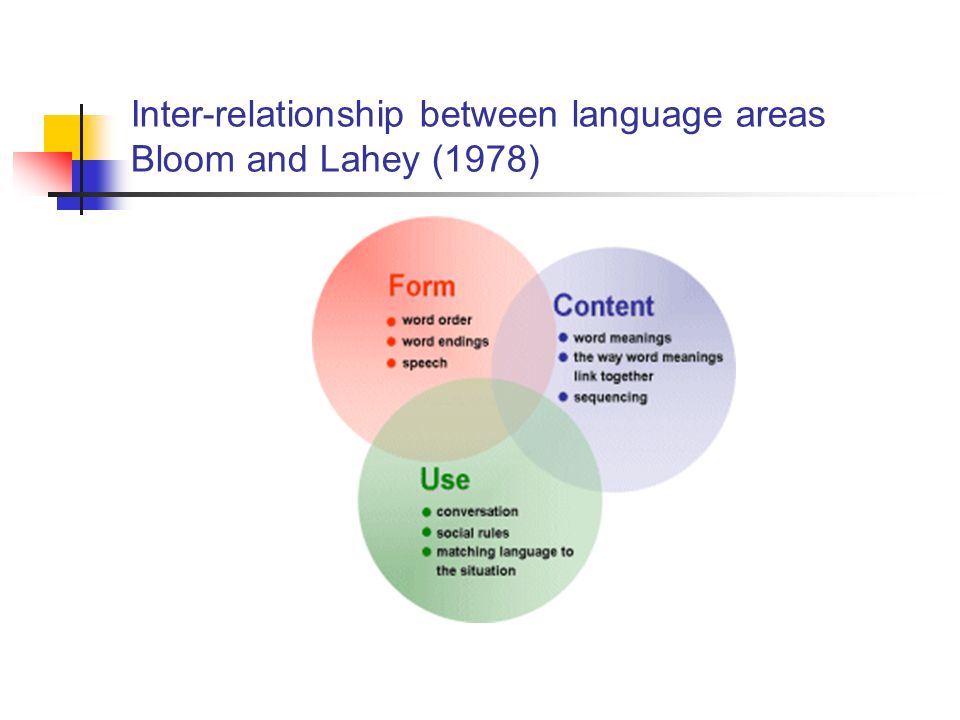 Bloom And Lahey Developmental Chart