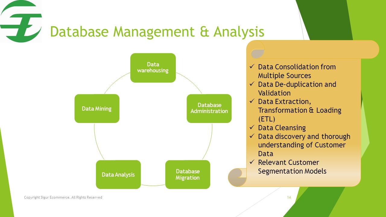 Database Management & Analysis