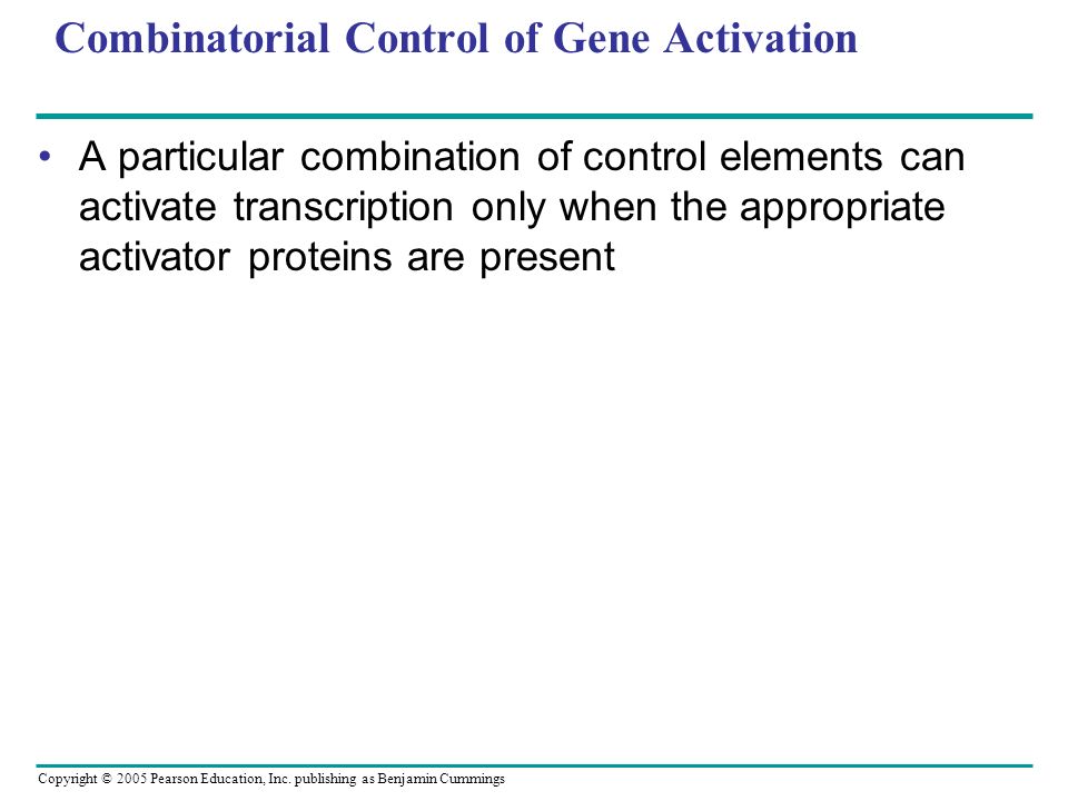 Combinatorial Control of Gene Activation