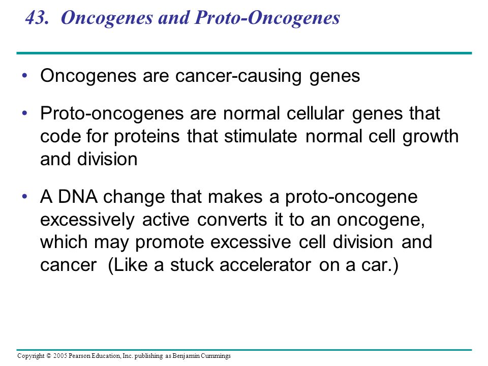 43. Oncogenes and Proto-Oncogenes