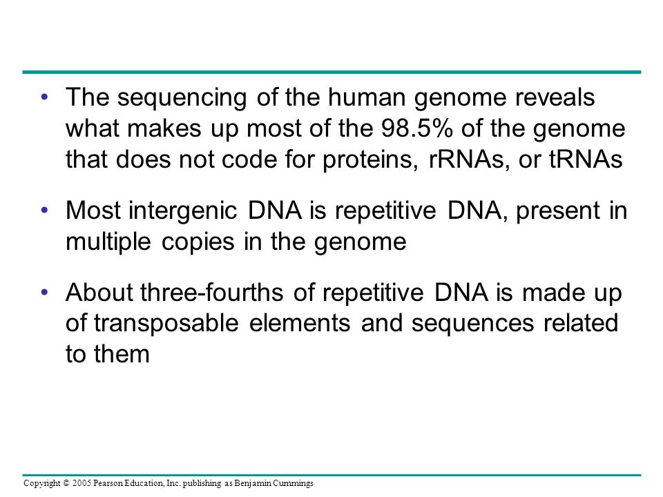 The sequencing of the human genome reveals what makes up most of the 98.5% of the genome that does not code for proteins, rRNAs, or tRNAs