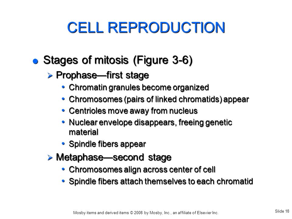 Chapter 3 Cells and Tissues ppt video online download