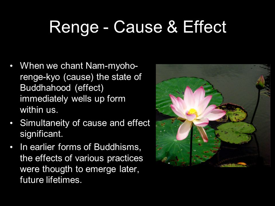 Nam-myoho-renge-kyo Based on the Basics of Buddhism by Pat Allwright - ppt  download