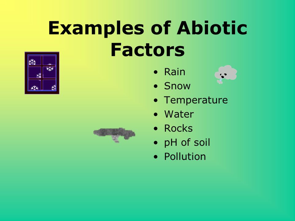 example of abiotic factors