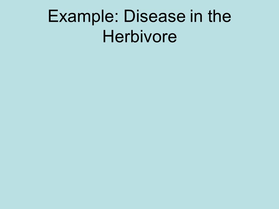 Example: Disease in the Herbivore