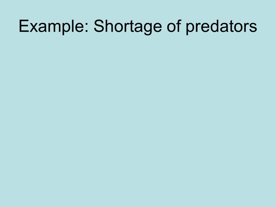 Example: Shortage of predators