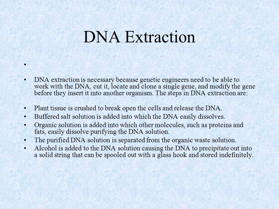 Deoxyribonucleic Acid (DNA) & Ribonucleic Acid (RNA) - ppt download