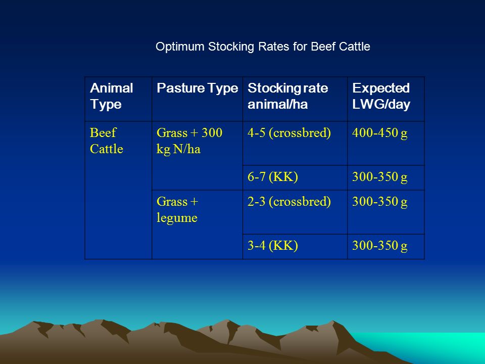 Optimum Stocking Rates for Beef Cattle
