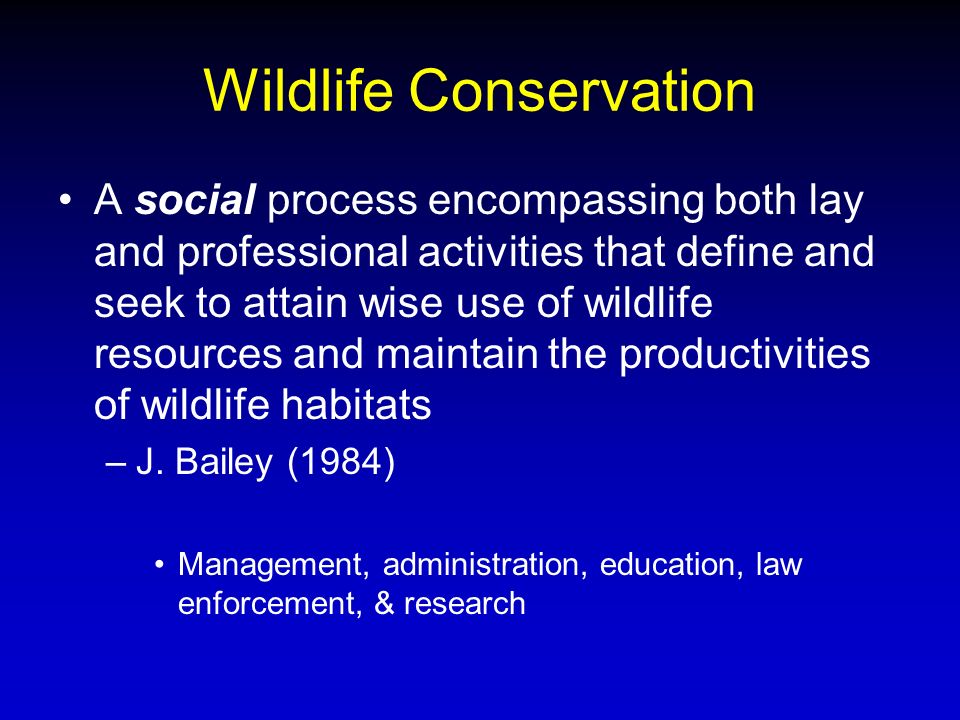Wildlife What are wildlife? - ppt video online download
