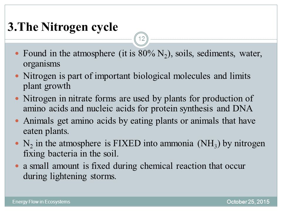 3.The Nitrogen cycle Found in the atmosphere (it is 80% N2), soils, sediments, water, organisms.