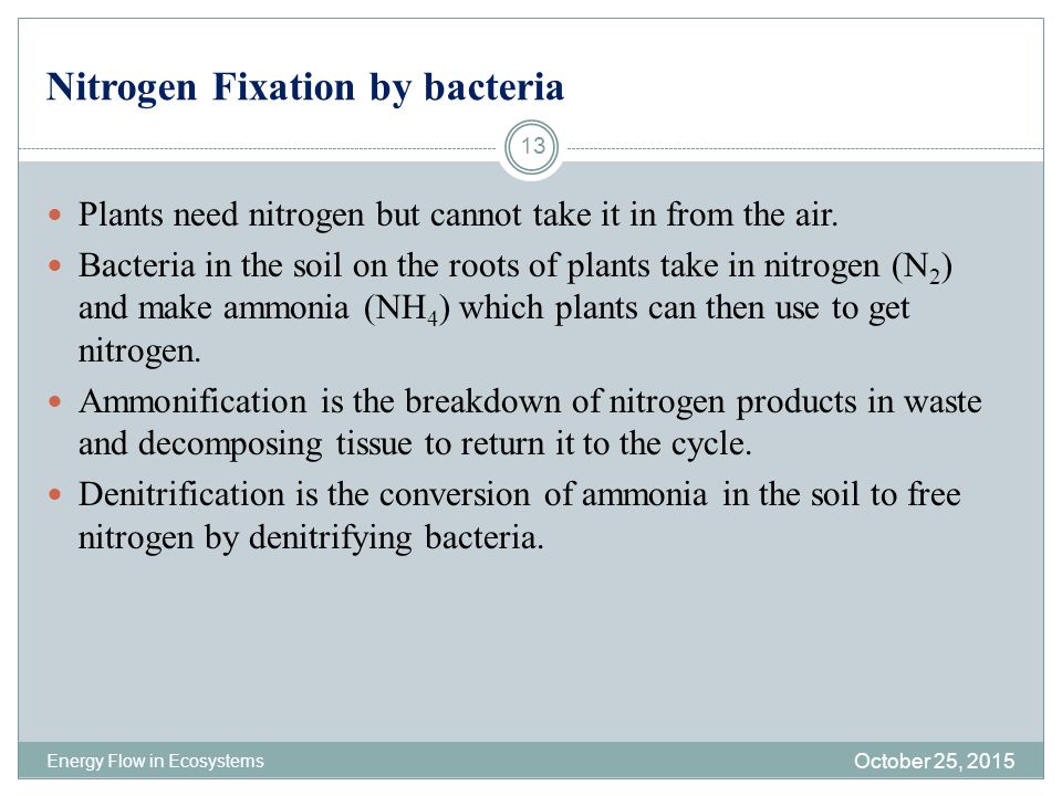 Nitrogen Fixation by bacteria