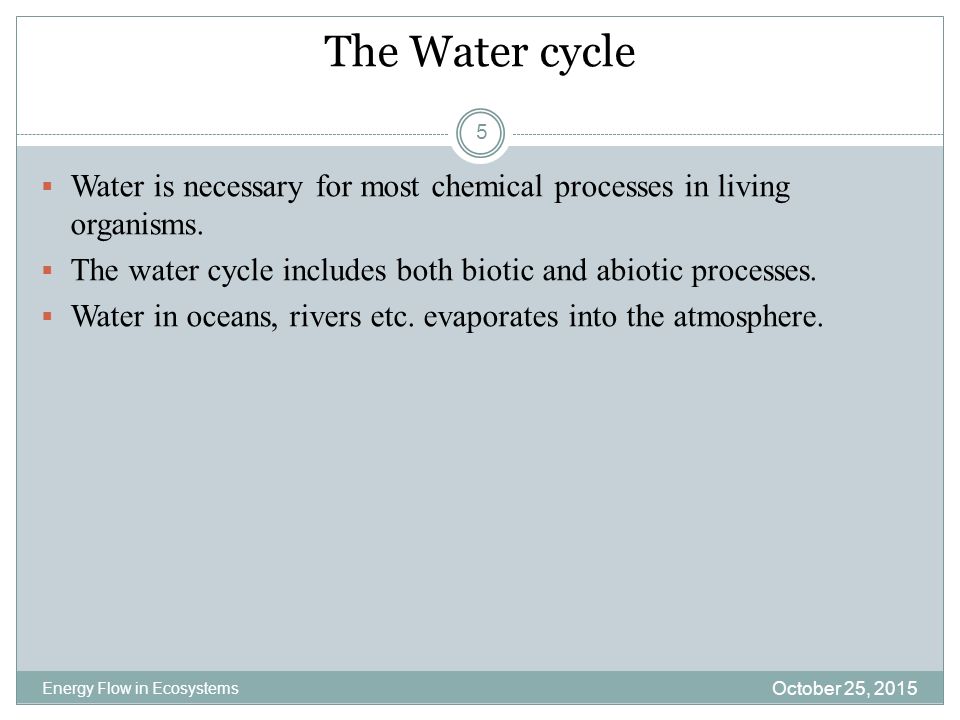 The Water cycle Water is necessary for most chemical processes in living organisms. The water cycle includes both biotic and abiotic processes.