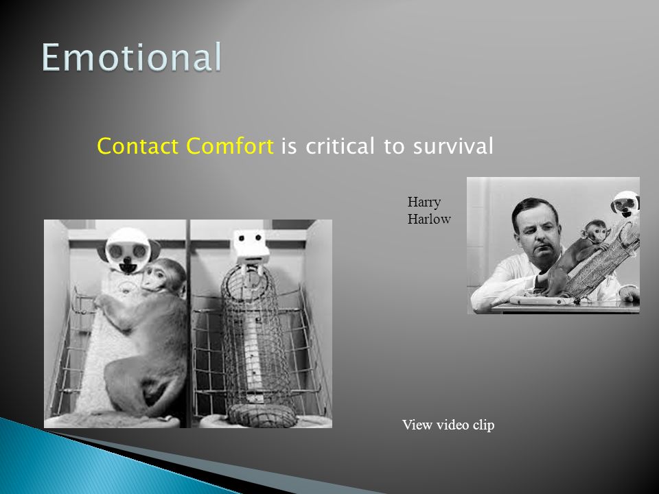 Emotional Contact Comfort is critical to survival Harry Harlow