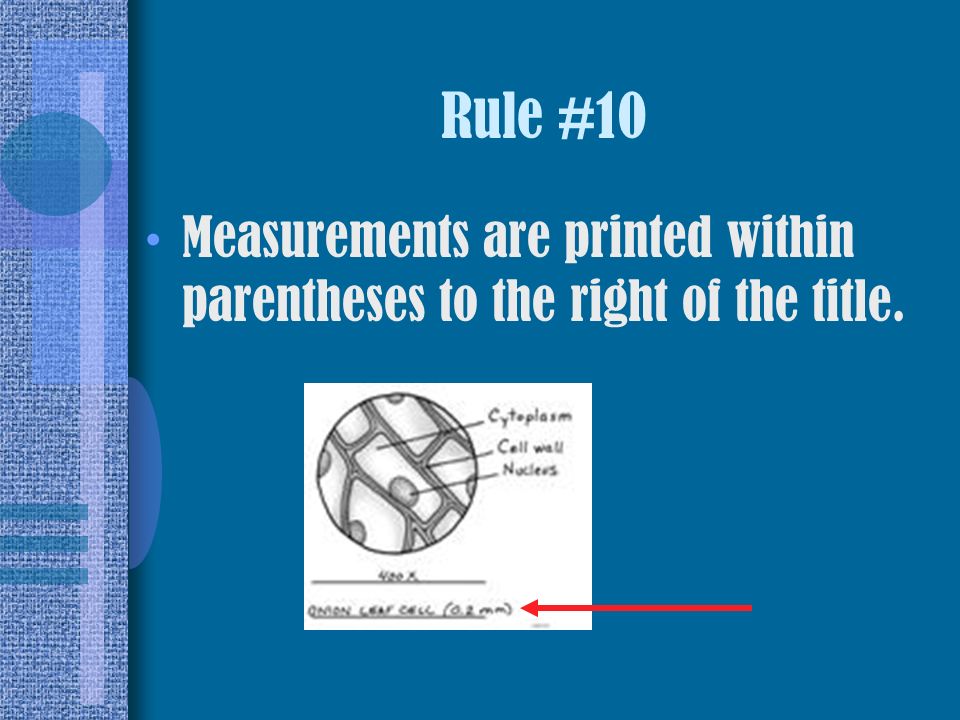 Rule #10 Measurements are printed within parentheses to the right of the title.