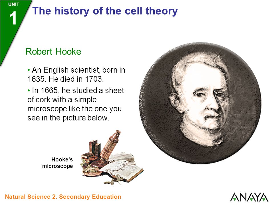 history of the formulation of cell theory