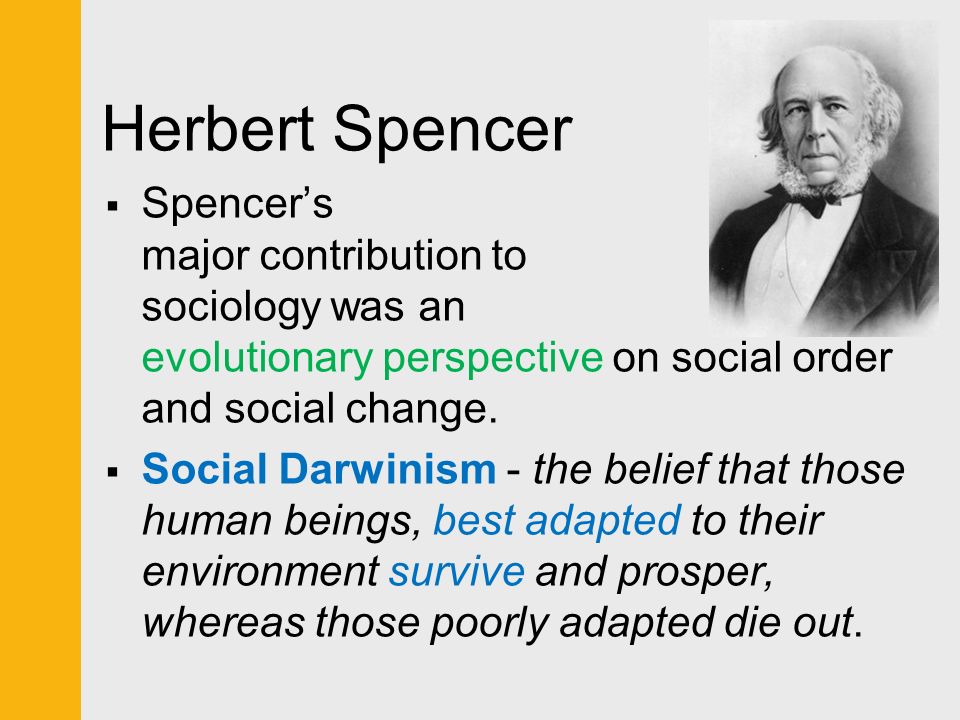 what did herbert spencer contribution to sociology