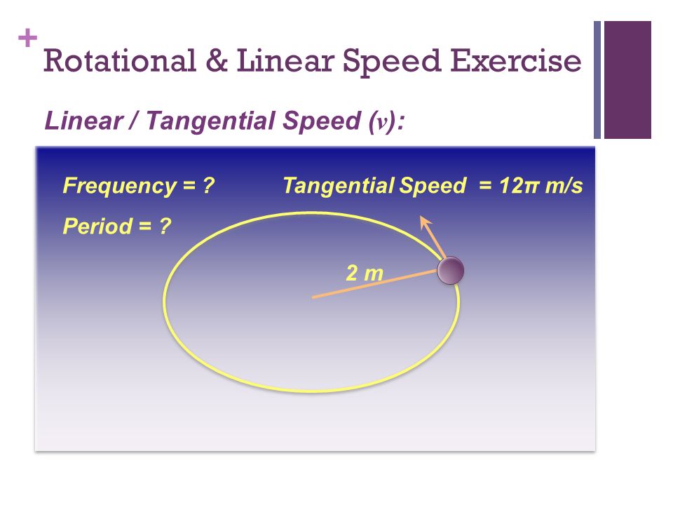 Rotational & Linear Speed Exercise